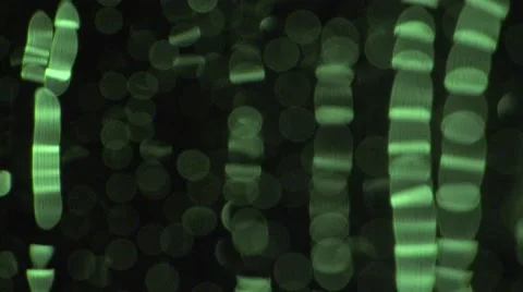 Raindrops running on a green window  4k Видео 47898006