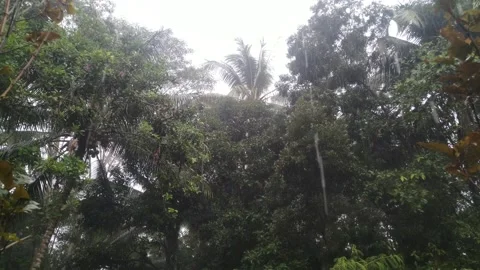 Raindrops from the sky Video stock 272421625