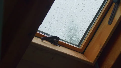 Raindrops skylight window tripod shot Stock Footage 337440879