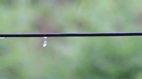 Raindrops slide and fall, along the wire in the rainy day.4K Stock Footage 258660638