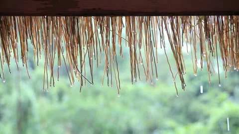 Raindrops slide and rain fall, along the thatched roof of gazeboin on rainy day. Stock Footage 259694971
