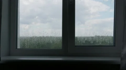 Raindrops Sliding Down Window Glass Overlooking Green Treetops Stock Footage 345425898