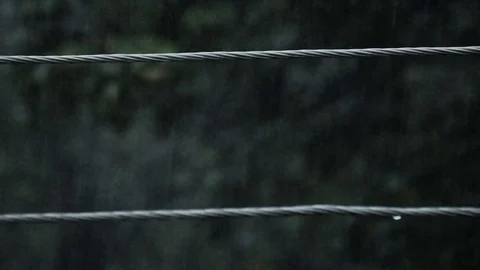 Raindrops sliding on wires at storm Stock Footage 77403571