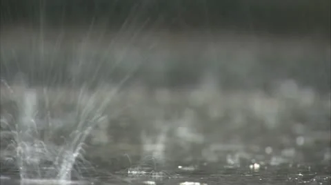 RAINDROPS IN SLOW MOTION Stock Footage 11528235