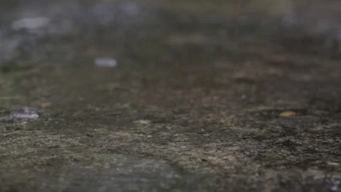 Raindrops slowly falling into a puddle Stock Footage 273134283
