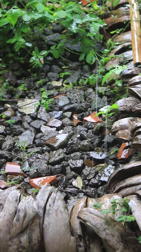 Raindrops soaking the piles of rocks, pebbles and rows of old coconut shells. Video stock 296805403