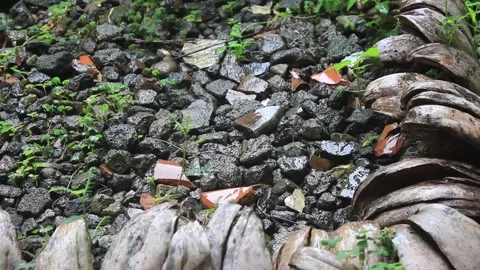 Raindrops soaking the piles of rocks, pebbles and rows of old coconut shells. Video stock 296805421