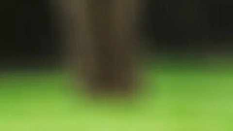 Raindrops on soft green and brown background slowly focus on tree trunk 動画素材 87857413
