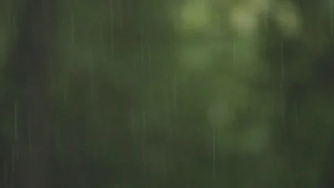 Raindrops on soft green background. Beautiful blurred natural rain pattern Video stock 92964764
