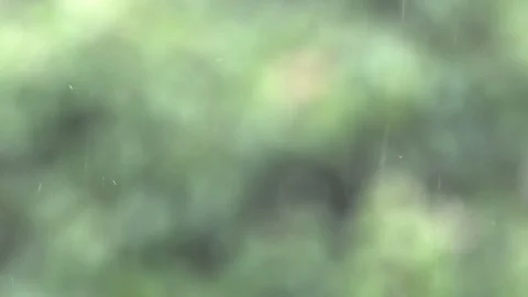 Raindrops on soft green background. Beautiful blurred natural rain pattern. S Video stock 102362636