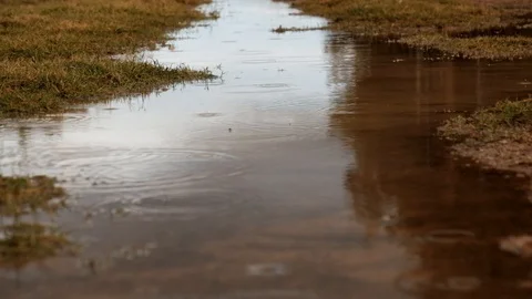 Raindrops softly falling into water puddle causing ripples Stock Footage 113859277