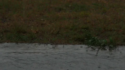 Raindrops softly hitting pavement 스톡 동영상 35688209
