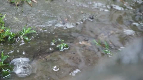 Raindrops on a soggy surface 库存影片 243489617