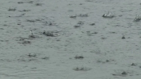 Raindrops Spattering on Pavement Stock Footage 76746978
