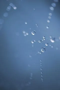Raindrops on the spiderweb on a rainy day in spring season Stock Photos