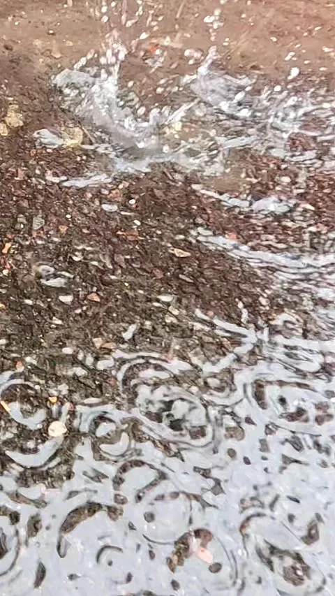 Raindrops Splashing in Asphalt Puddle with Expanding Ripples Stock Footage 324698872