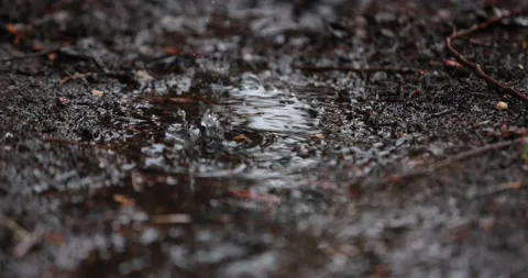 Raindrops Splashing On Dark Blue Puddle. Slow Motion Close Up Stock Footage 153403599