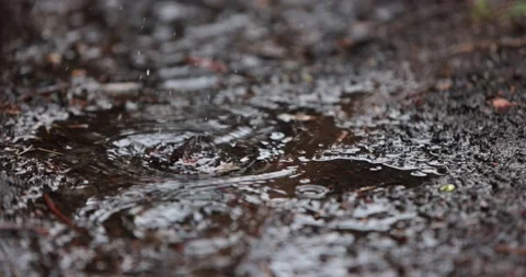 Raindrops Splashing On Dark  Puddle. Slow Motion Close-Up Stock Footage 153403256