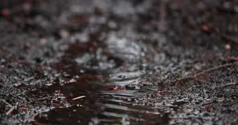 Raindrops Splashing On Dark  Puddle. Slow Motion Close-Up Stock Footage 153403463