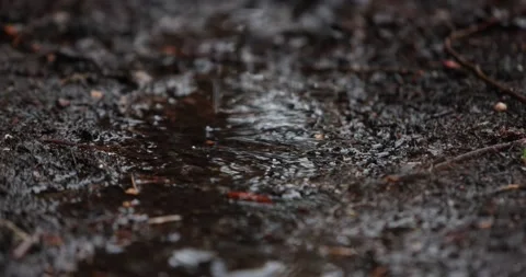 Raindrops Splashing On Dark  Puddle. Slow Motion Close-Up Stock-Footage 153403821