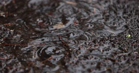 Raindrops Splashing On Dark  Puddle. Slow Motion Close-Up Stock Footage 153404729