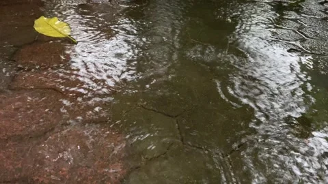 Raindrops splashing Stock Footage 326310263