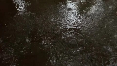 Raindrops splashing Stock Footage 326310653