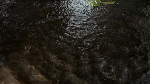 Raindrops splashing Stock Footage 326310692