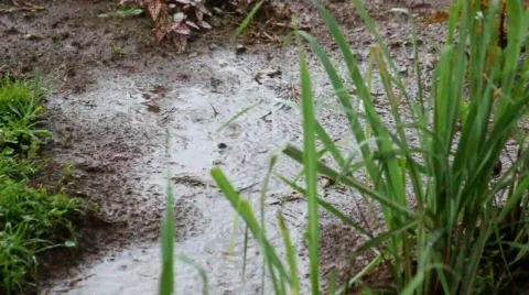 Raindrops splashing in muddy puddle  Stock Footage 749189