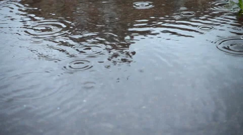 Raindrops splashing into puddle, slow motion Video stock 64766443