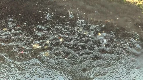 Raindrops splashing on water surface creating bubbles Video stock 316905521