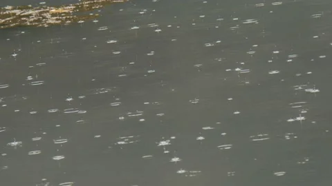 Raindrops on a Stream Stock Footage 138715935