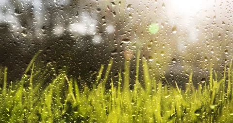 Raindrops on sunny window Vídeos de archivo 231726261