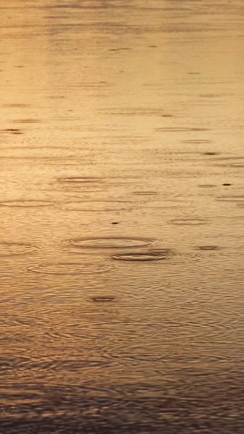 Raindrops on the surface of lake water at sunset. Raindrops on the water. Stock Footage 273672785