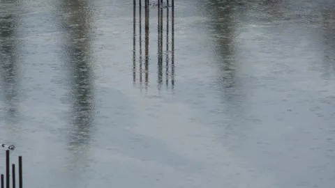 Raindrops on the surface of the puddle. Rainy day. Stock Footage 309007319