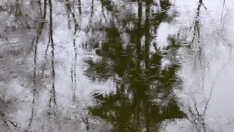 Raindrops on the surface of the water Stock Footage 104907120