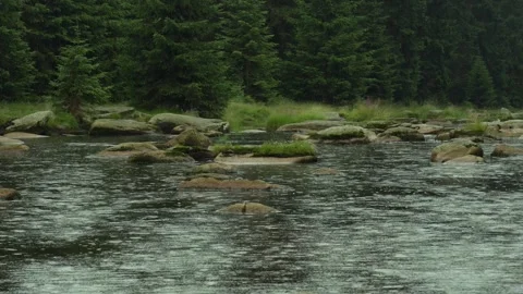 Raindrops on the surface of water in a mountain river on the background Stock Footage 290822617