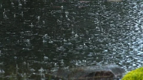 Raindrops on the surface of the water in the pond Stock Footage 143992642