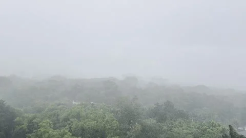 Raindrops Suspended in Slow Motion During Miami Hurricane, Trees in the Back Stock Footage 342203363