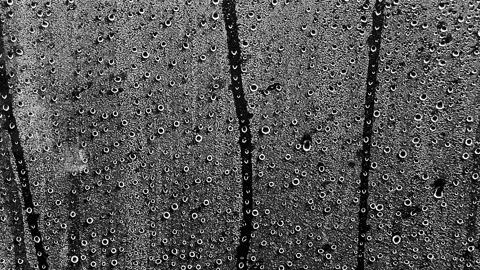 Raindrops Trickling Down Window Glass, Close-Up Black and White Vídeos de archivo 346077612