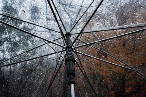 Raindrops on umbrella Stock Photos