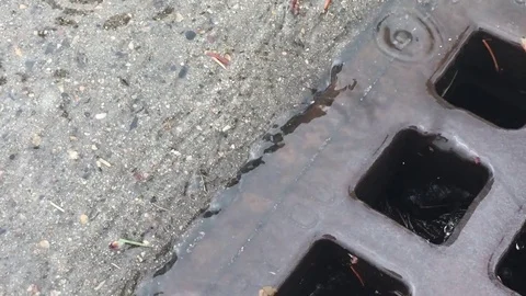 Raindrops Washing Into Grate  Stockbeeldmateriaal 75799499