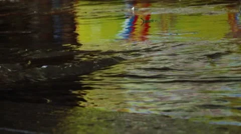 Raindrops on Water Stock Footage 10734225