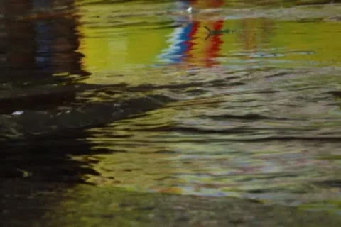 Raindrops on Water Stock Footage 10734713