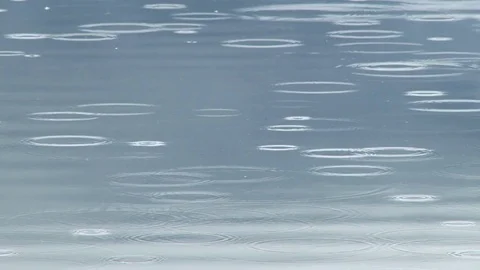 Raindrops in water Stock Footage 74094080