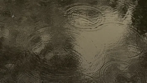 Raindrops in Water Stock Footage 76124956