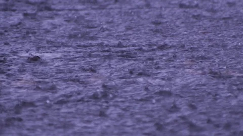 Raindrops on water Stock Footage 92217573