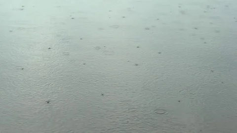 Raindrops on water Stock Footage 110844143