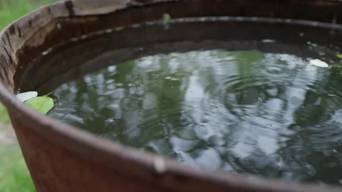 Raindrops on the water Stock Footage 195859864