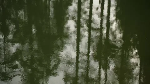 Raindrops on water Stock Footage 293159449